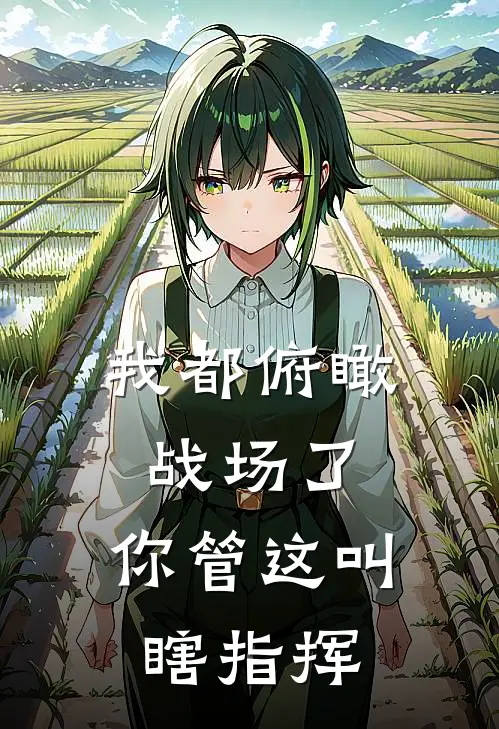 我都俯瞰战场了，你管这叫瞎指挥